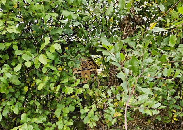 Welcoming Our Newest Guests: Bug Hotels at the Lodge Park!